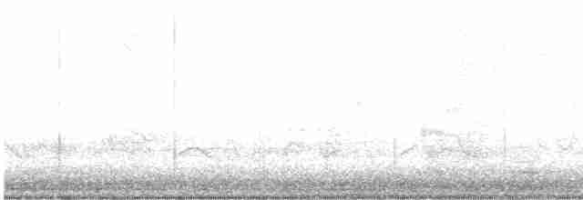 Tennessee Warbler - ML618611154