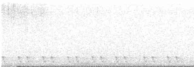 Rothals-Nachtschwalbe - ML618611184