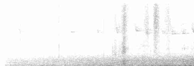 Дрізд-короткодзьоб Cвенсона - ML618611847
