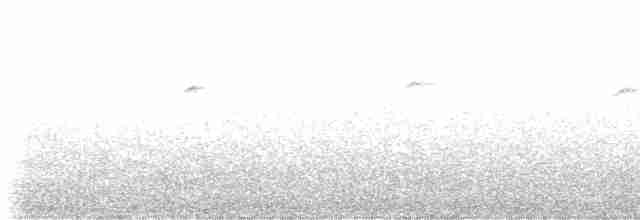 kolibřík blankytohrdlý - ML618611989