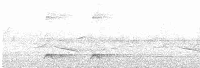 Batılı Kara Başlı Pitta (cucullata) - ML618612016