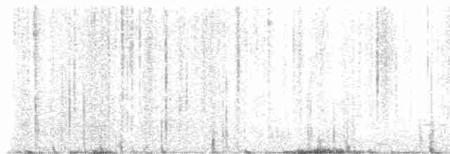 Дрізд-короткодзьоб плямистоволий - ML618612031