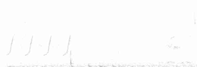Vireo de Bell (arizonae) - ML618612180