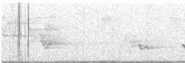 Піранга пломениста - ML618612356