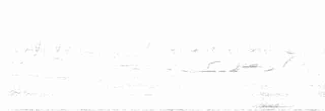 Boz Böğürlü Çalıbülbülü - ML618612567