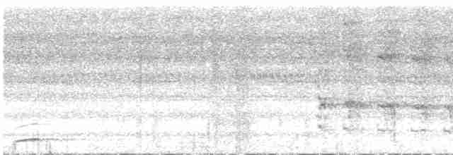 Alción de Esmirna - ML618612635