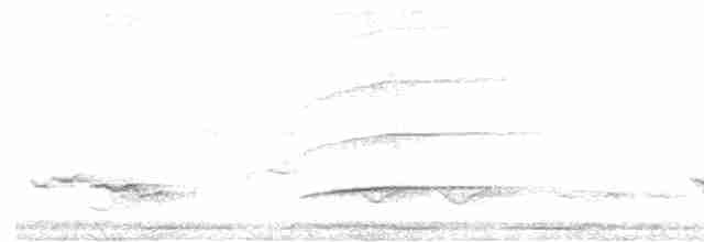 Зернолуск великий - ML618612712