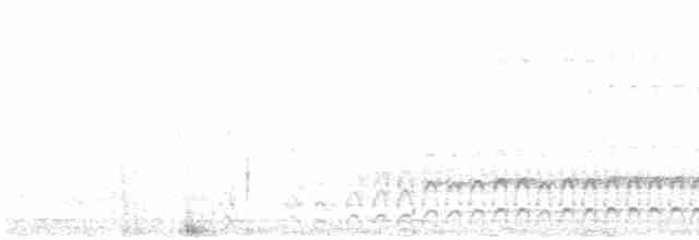 Lavandera Africana - ML618612788