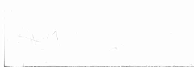 Black-billed Cuckoo - ML618613211
