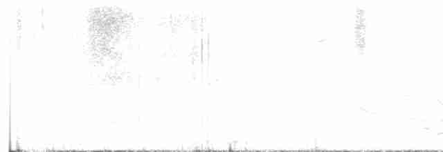 קוקיה שחורת-מקור - ML618613213