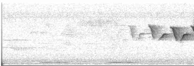 Blackburnian Warbler - ML618613219