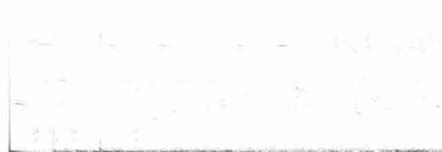 Black-billed Cuckoo - ML618613289