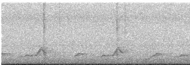Schwarzkehl-Nachtschwalbe - ML618613418