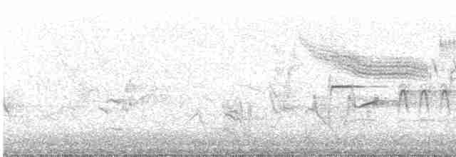 Голубокрылая червеедка - ML618613593