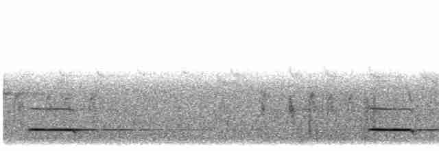 Сичик-горобець євразійський - ML618614305