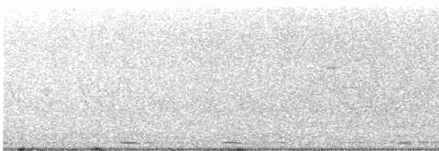 Great Reed Warbler - ML618614486