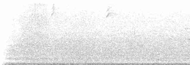 Common Yellowthroat - ML618614684