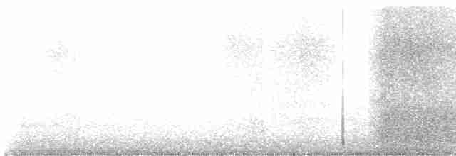 Дрізд-короткодзьоб Cвенсона - ML618614915