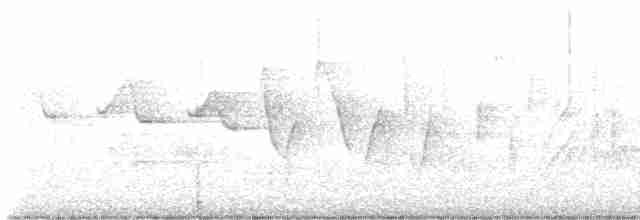 Трясогузковый певун - ML618615246