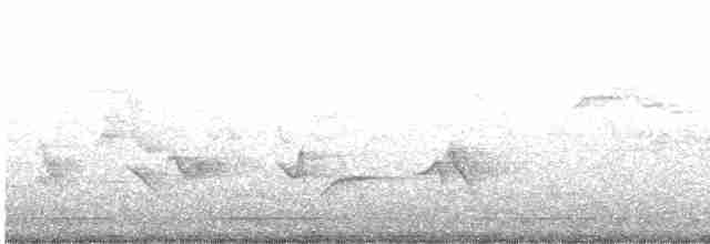 Чернокрылая пиранга - ML618615279