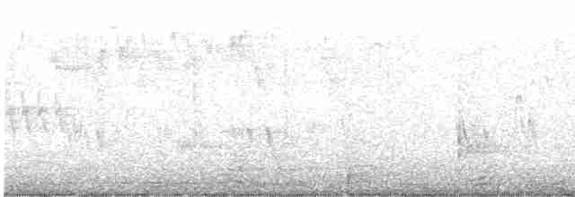 sýkora koňadra [skupina major] - ML618615386