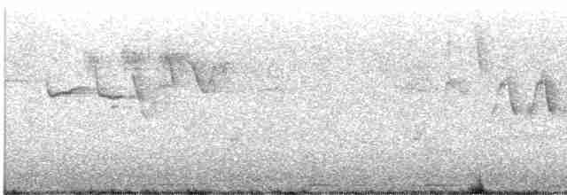 Eurasian Wren (Eurasian) - ML618615449