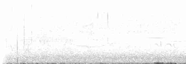 lesňáček černobílý - ML618615990