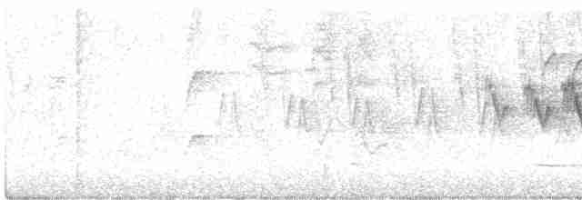 Cerulean Warbler - ML618616052