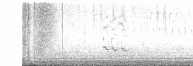 Kuliska hankahori handia - ML618616212