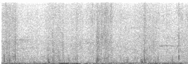Дрізд-короткодзьоб плямистоволий - ML618616476