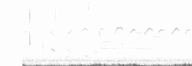 Kuliska hankahori handia - ML618617134