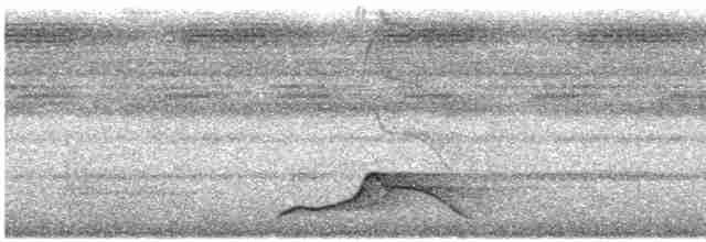 Pauraquenachtschwalbe - ML618618320