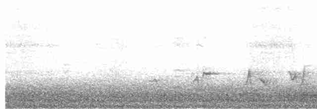 Black-headed Grosbeak - ML618619372