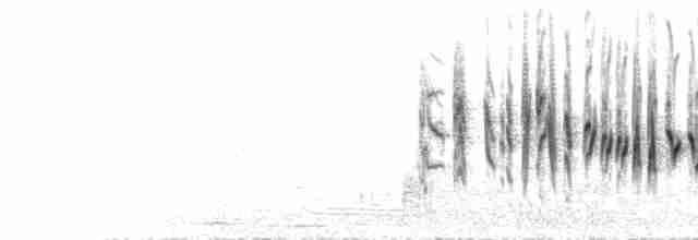 Кропив’янка сардинська - ML618619582