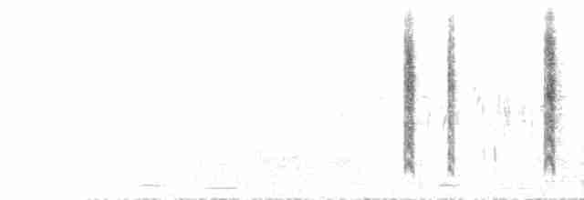 Sardengrasmücke - ML618619585