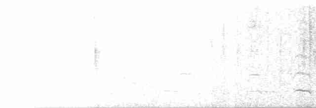 Kanada Kargası [canadensis grubu] - ML618619898