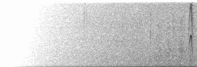 gråskrike (canadensis gr.) - ML618619917