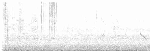 Tennessee Warbler - ML618620151
