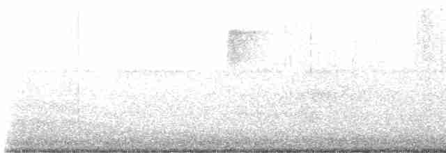 Kara Kanatlı Piranga - ML618620203