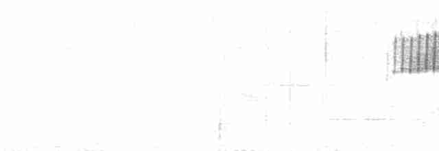 Paruline vermivore - ML618620261