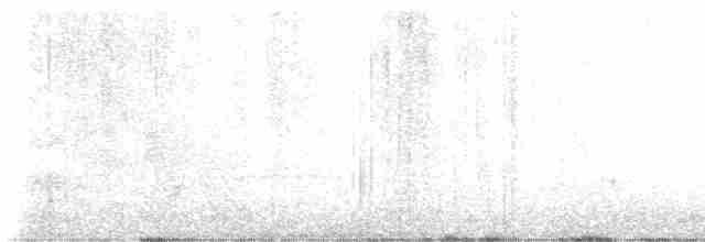 Пестрогрудая овсянка [группа schistacea] - ML618620984