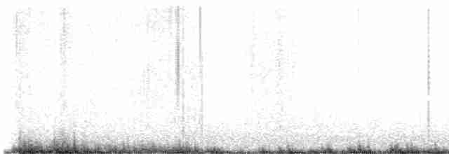 revespurv (schistacea gr.) (skiferrevespurv) - ML618620985