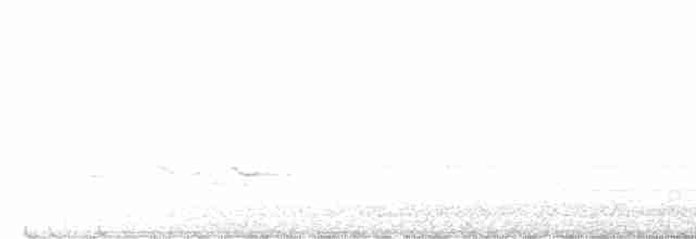 Bruant à couronne blanche - ML618621581