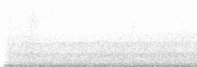 Black-throated Gray Warbler - ML618622139