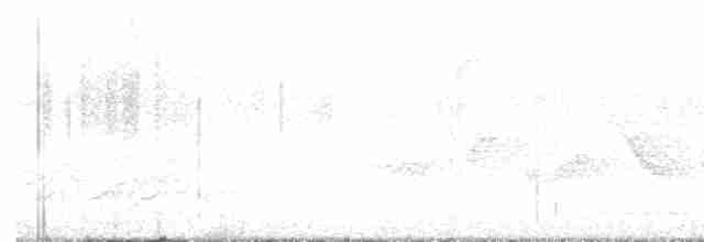 Cerulean Warbler - ML618622140