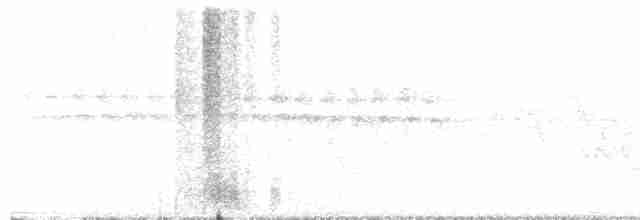 Желтобрюхий дятел-сокоед - ML618622251