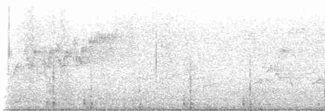 Cerulean Warbler - ML618622292