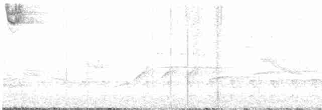 Kuzey Amerika Kara Ağaçkakanı - ML618622665
