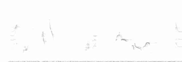 Пересмішник сірий - ML618623262