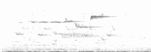 Kara Kanatlı Piranga - ML618623539